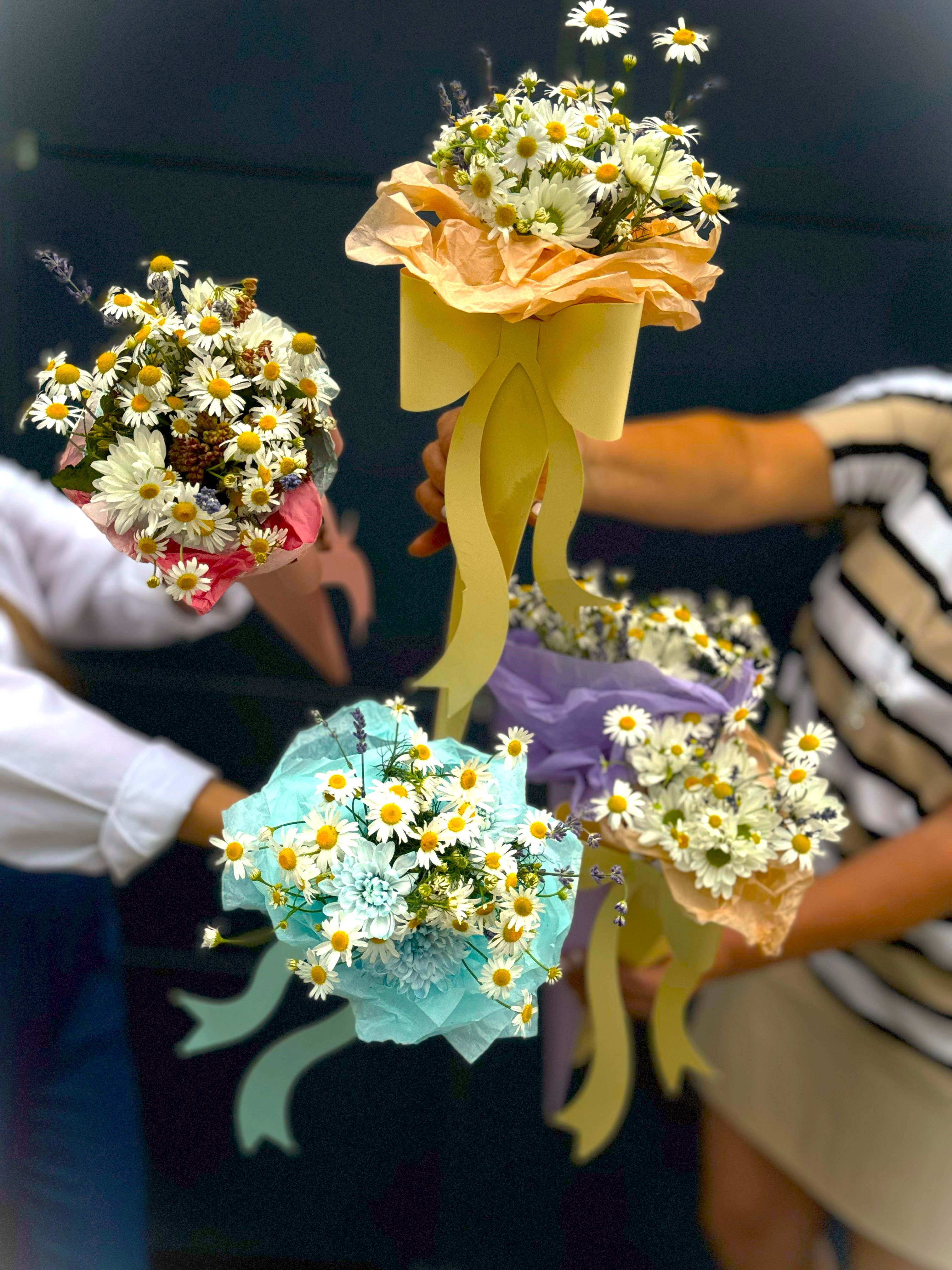 romashki2_4032